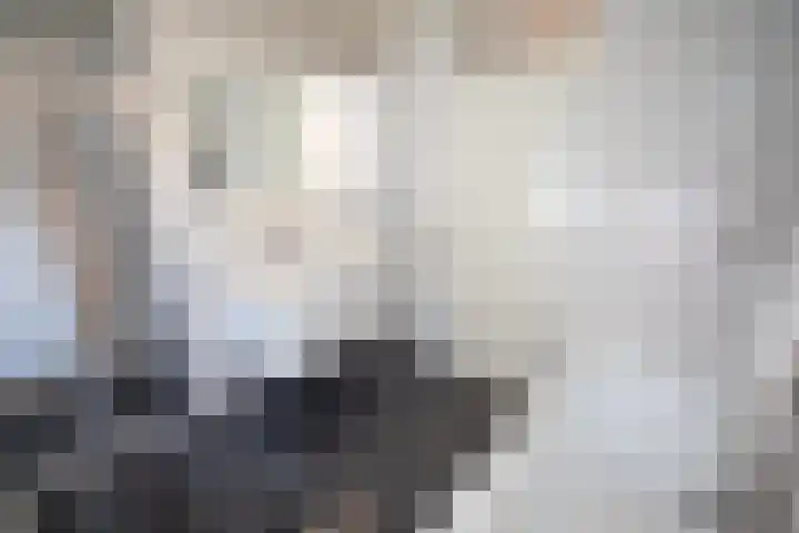 Marjoleinlaan 58 Wierden thumbnail 34