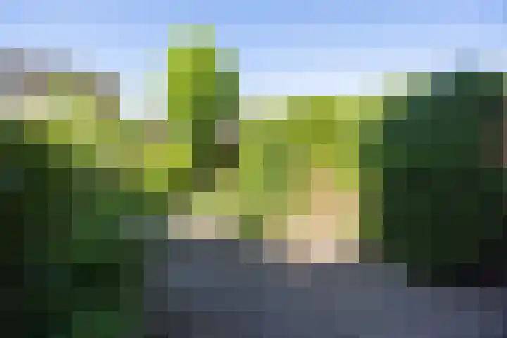 Marjoleinlaan 58 Wierden thumbnail 43