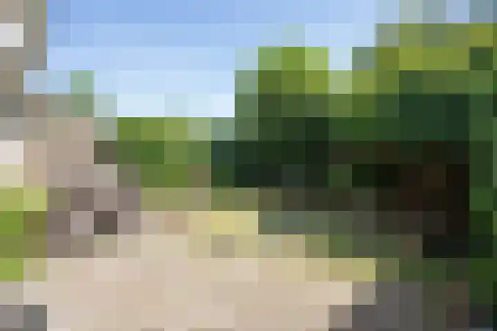 Marjoleinlaan 58 Wierden thumbnail 55