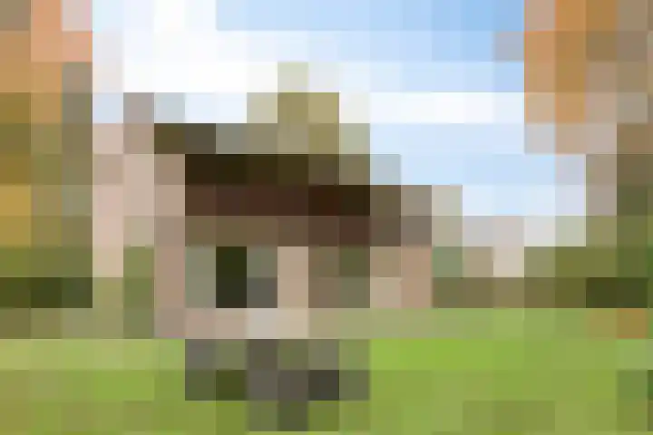 Marjoleinlaan 58 Wierden thumbnail 57