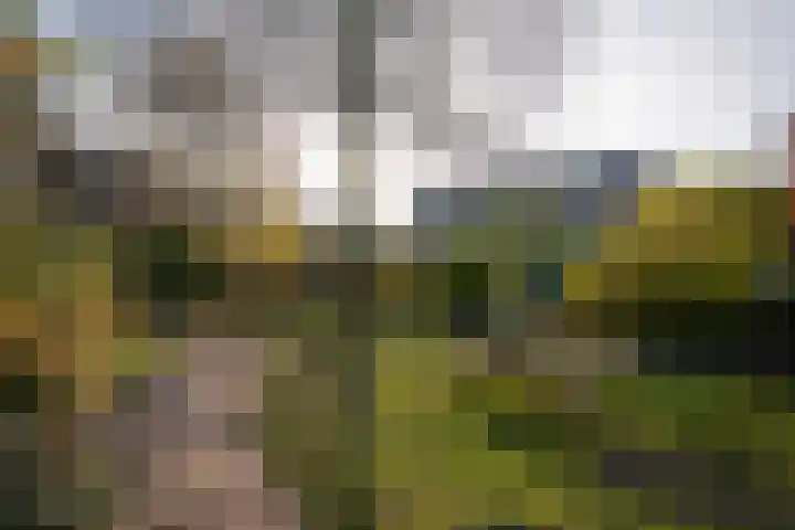 Marjoleinpad 70 Haarlem thumbnail 27