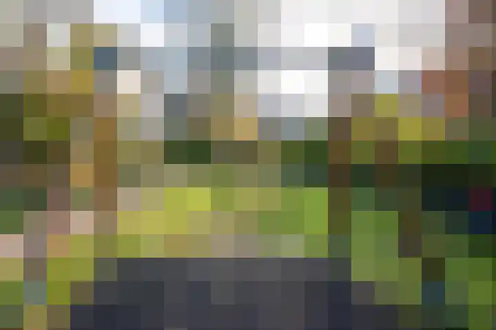 Marjoleinpad 70 Haarlem thumbnail 28