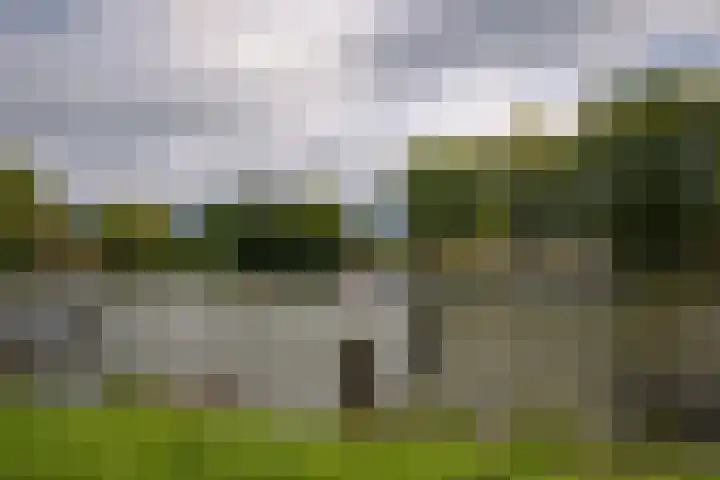 Marjoleinpad 70 Haarlem thumbnail 31