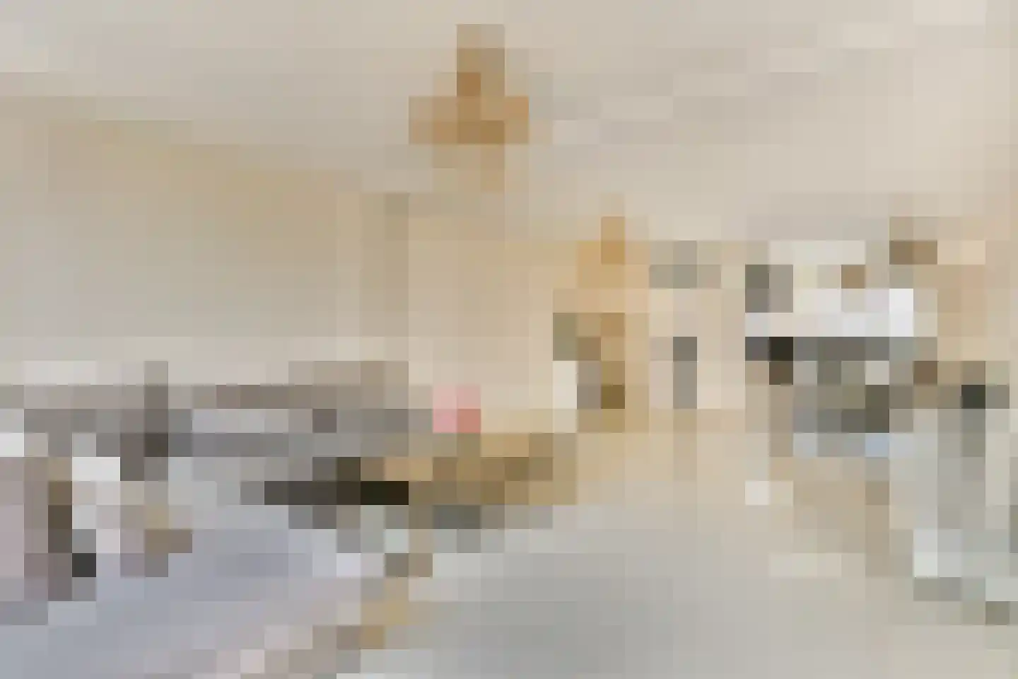Marjoleinstraat 10 Almere thumbnail 7
