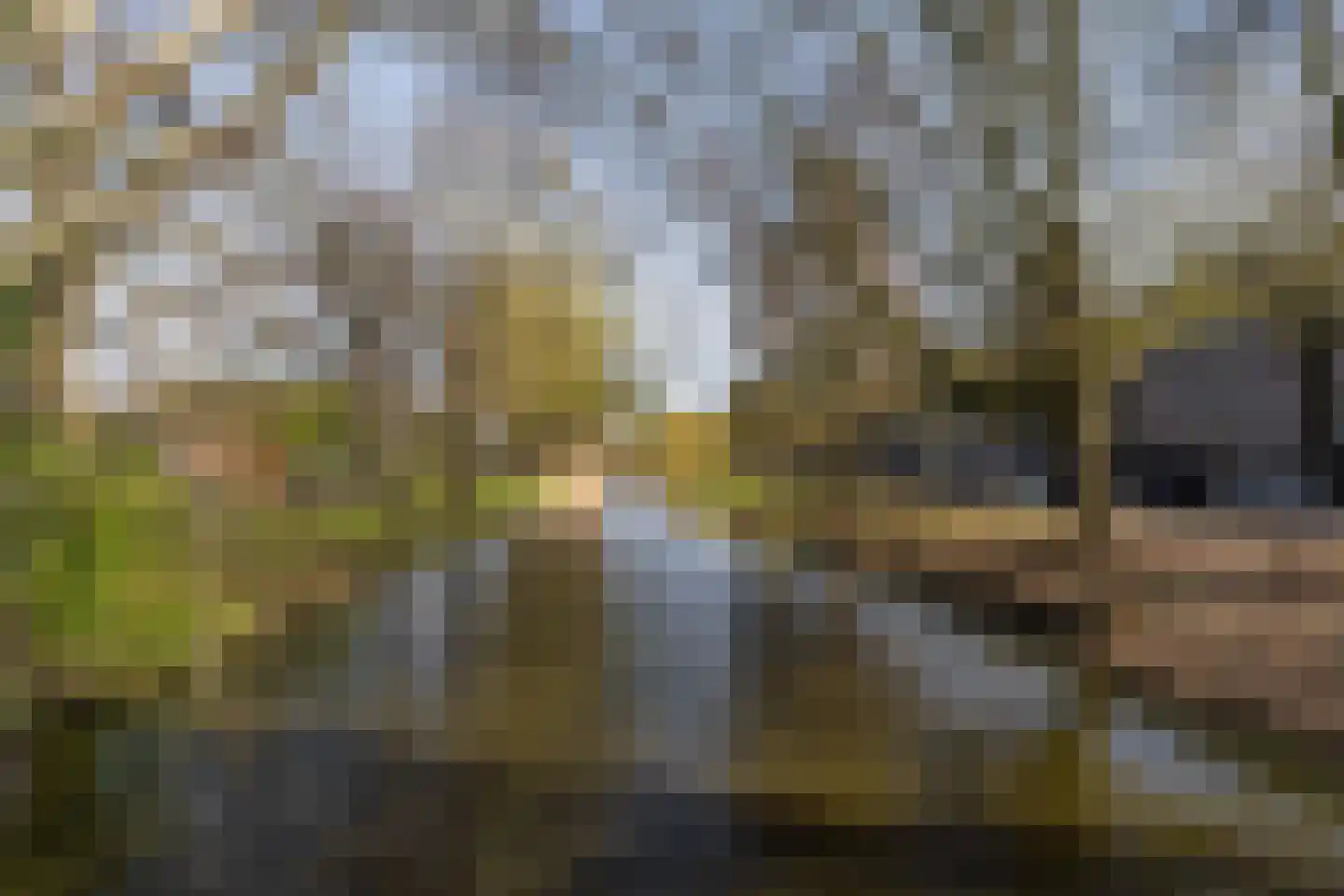 Marjoleinstraat 119 Amsterdam thumbnail 28