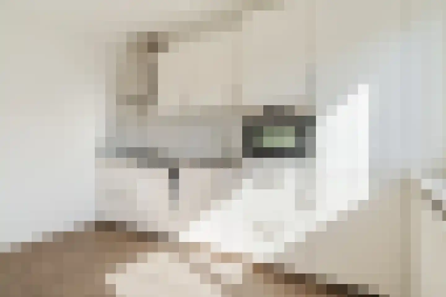 Marjoleinstraat 119 Amsterdam thumbnail 7