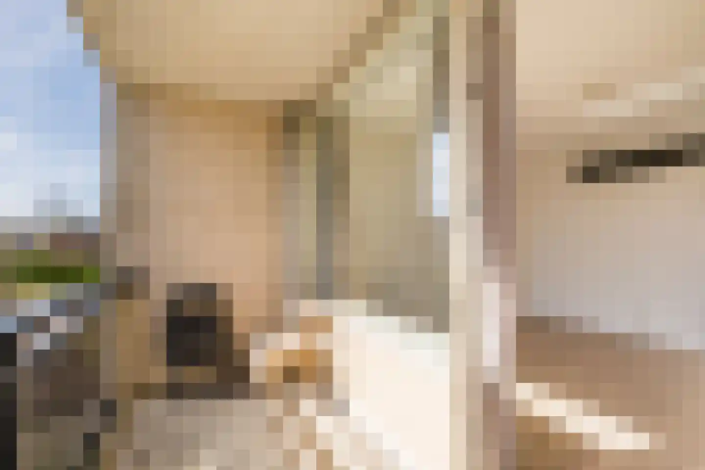 Marjoleinstraat 119 Amsterdam thumbnail 9
