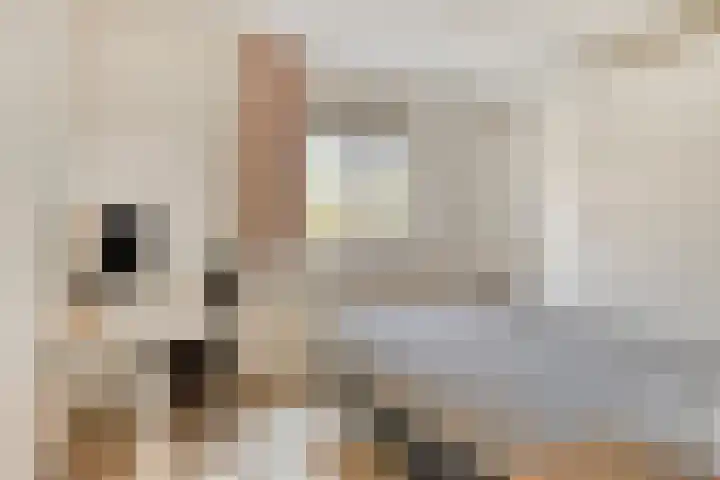 Marjoleinstraat 127 Amsterdam thumbnail 11