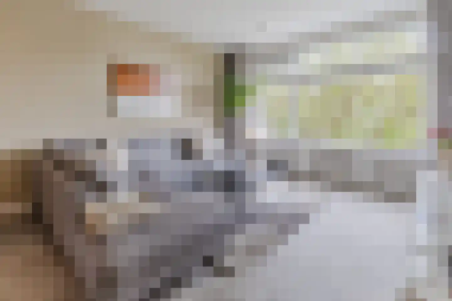 Marjoleinstraat 127 Amsterdam thumbnail 13