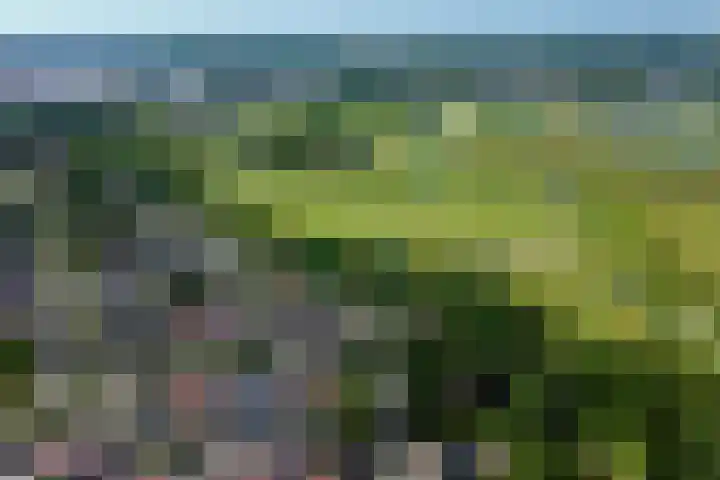 Marjoleinstraat 127 Amsterdam thumbnail 14