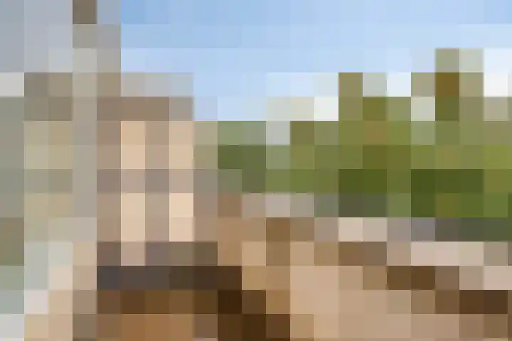 Marjoleinstraat 127 Amsterdam thumbnail 17