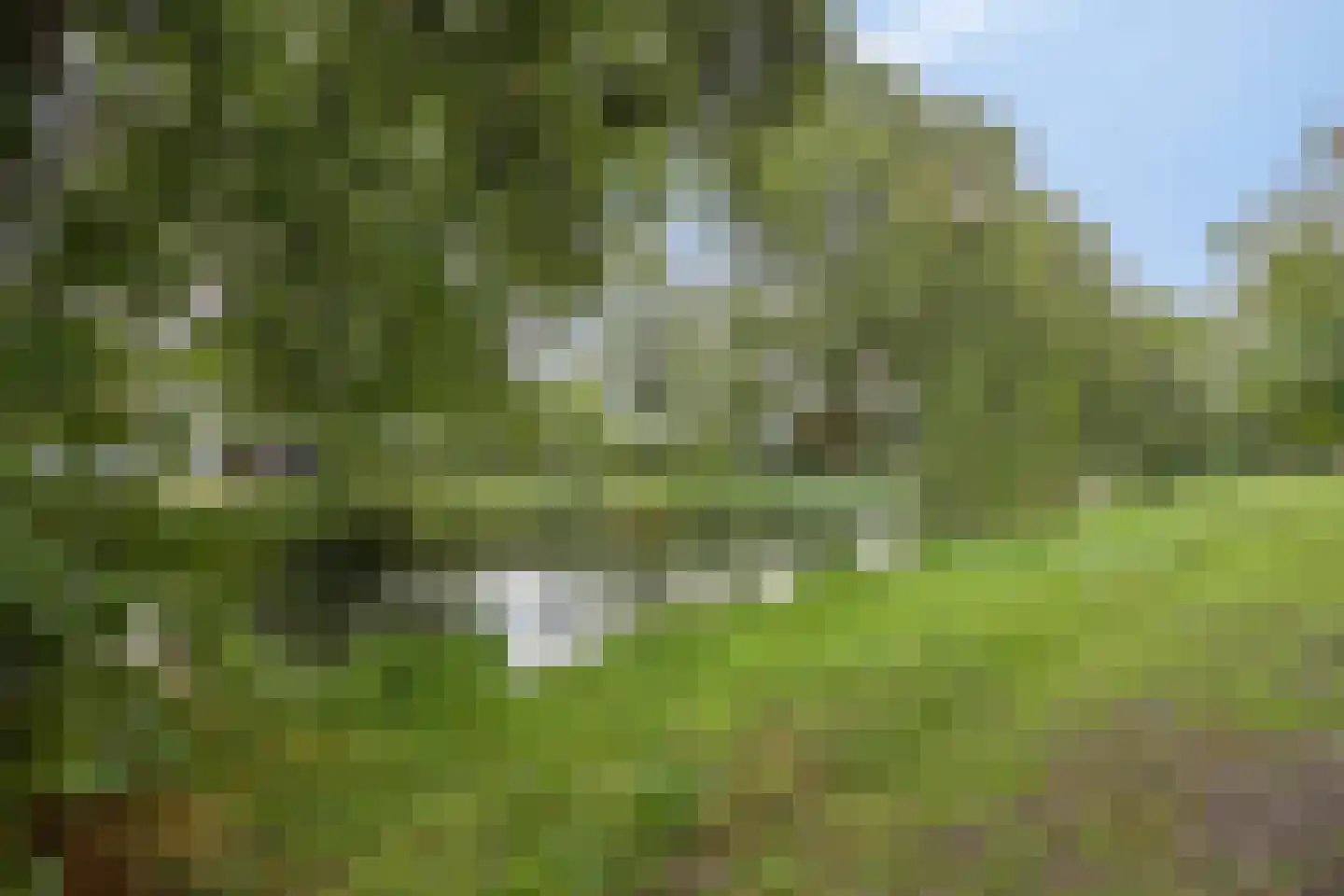 Marjoleinstraat 127 Amsterdam thumbnail 19