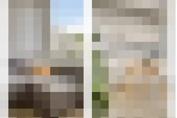 Marjoleinstraat 127 Amsterdam thumbnail 6
