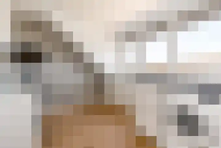 Marjoleinstraat 19 Elburg thumbnail 30