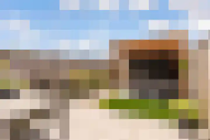 Marjoleinstraat 19 Elburg thumbnail 34
