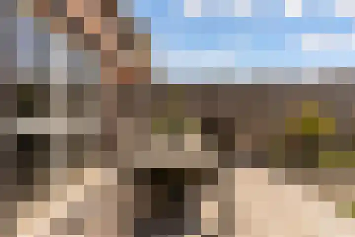 Marjoleinstraat 19 Elburg thumbnail 40