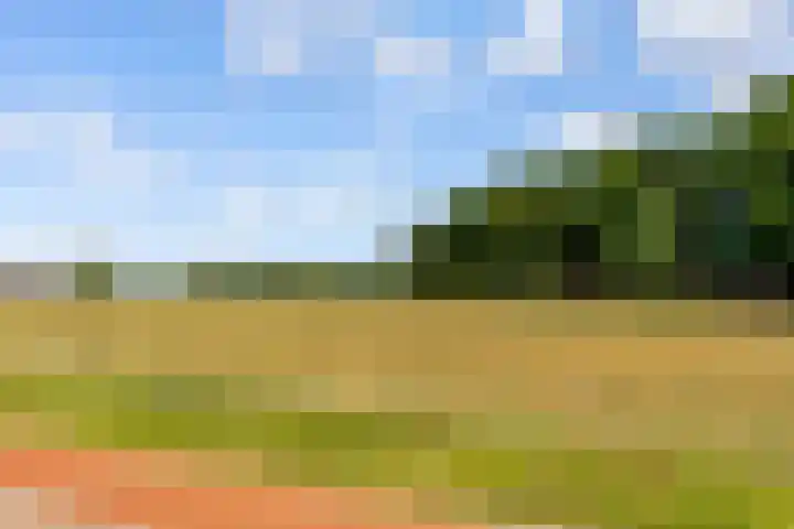 Marjoleinstraat 19 Elburg thumbnail 46