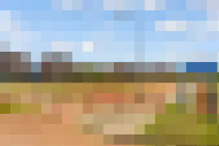 Marjoleinstraat 19 Elburg thumbnail 47