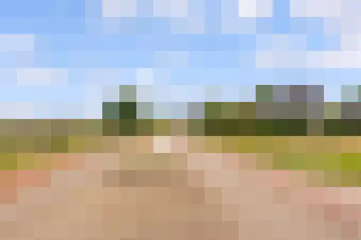Marjoleinstraat 19 Elburg thumbnail 48