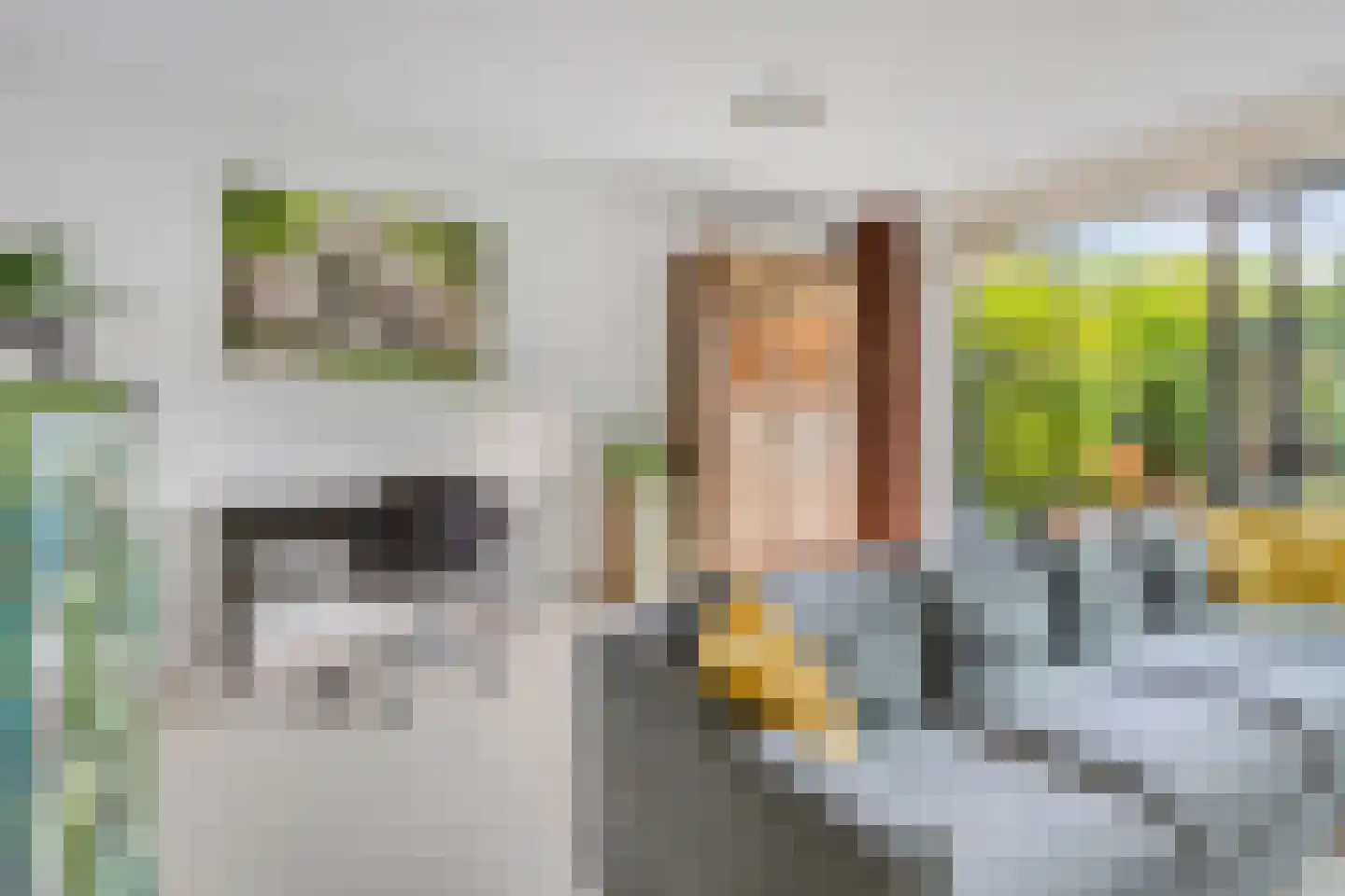 Marjoleinstraat 195 Amsterdam thumbnail 14