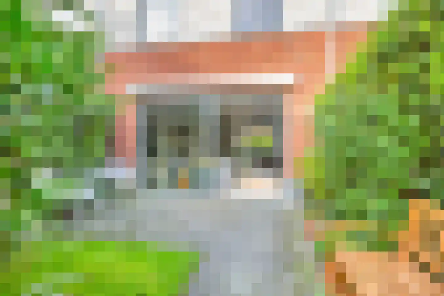 Marjoleinstraat 195 Amsterdam thumbnail 41