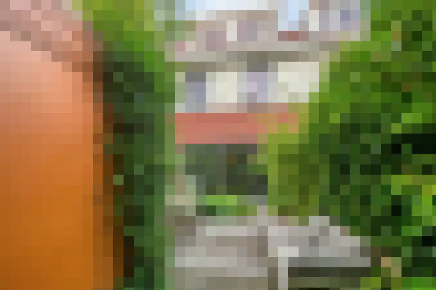 Marjoleinstraat 199 Amsterdam thumbnail 14