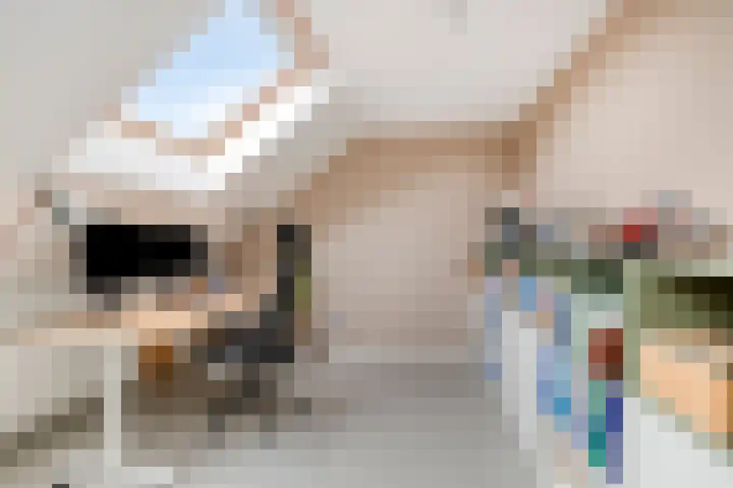 Marjoleinstraat 199 Amsterdam thumbnail 32