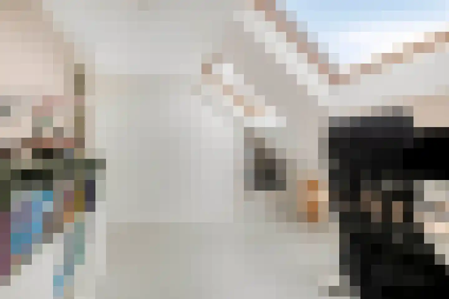 Marjoleinstraat 199 Amsterdam thumbnail 33
