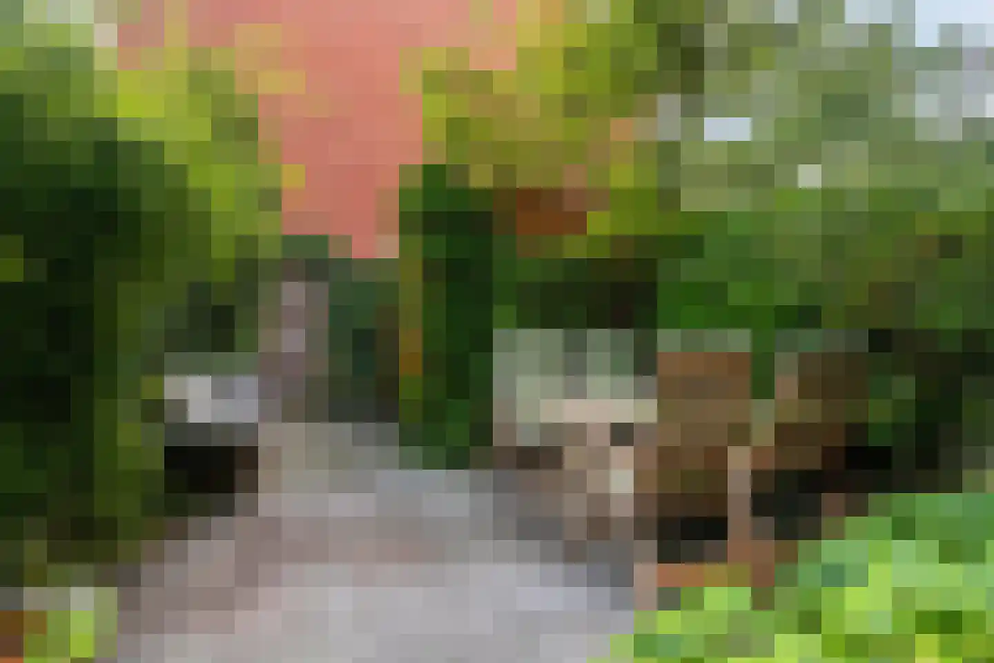 Marjoleinstraat 199 Amsterdam thumbnail 4