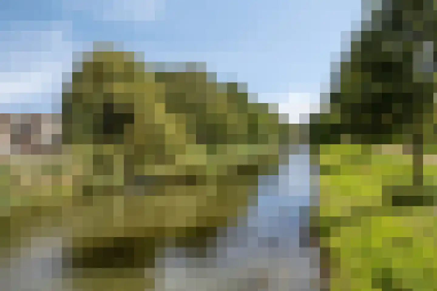 Marjoleinstraat 20 Almere thumbnail 34
