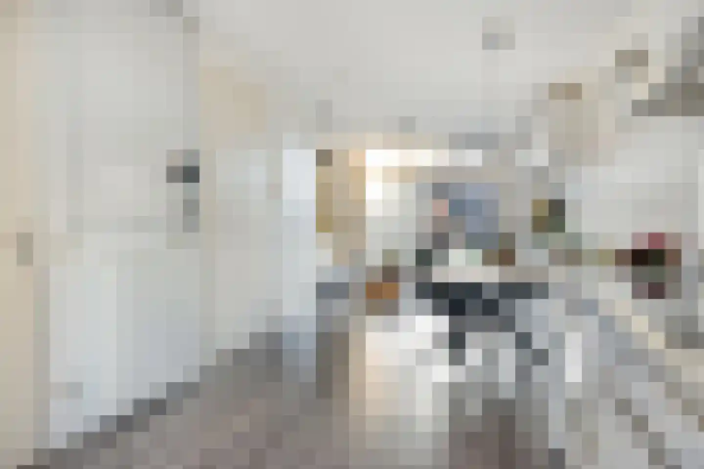 Marjoleinstraat 20 Heinkenszand thumbnail 12