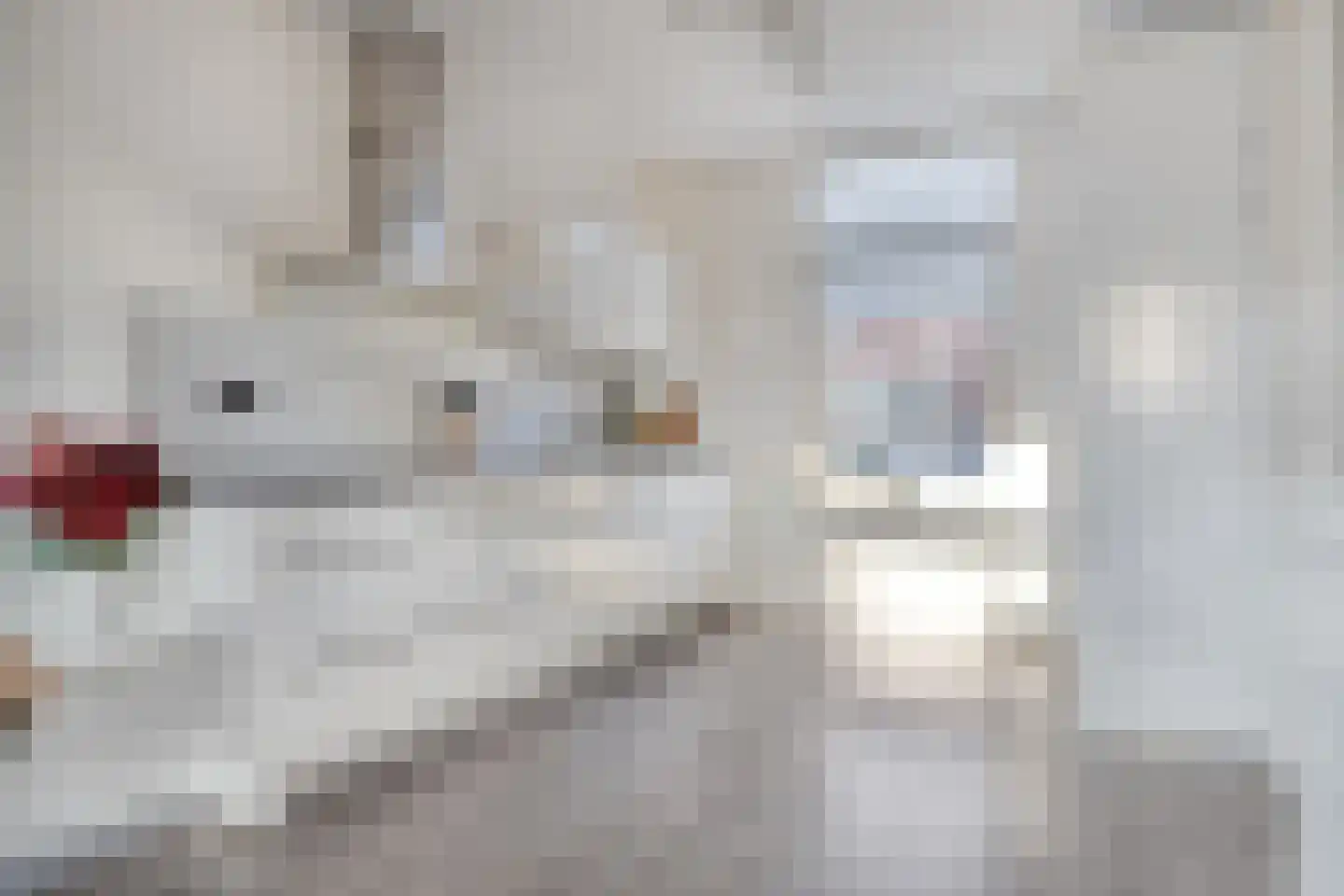 Marjoleinstraat 20 Heinkenszand thumbnail 9