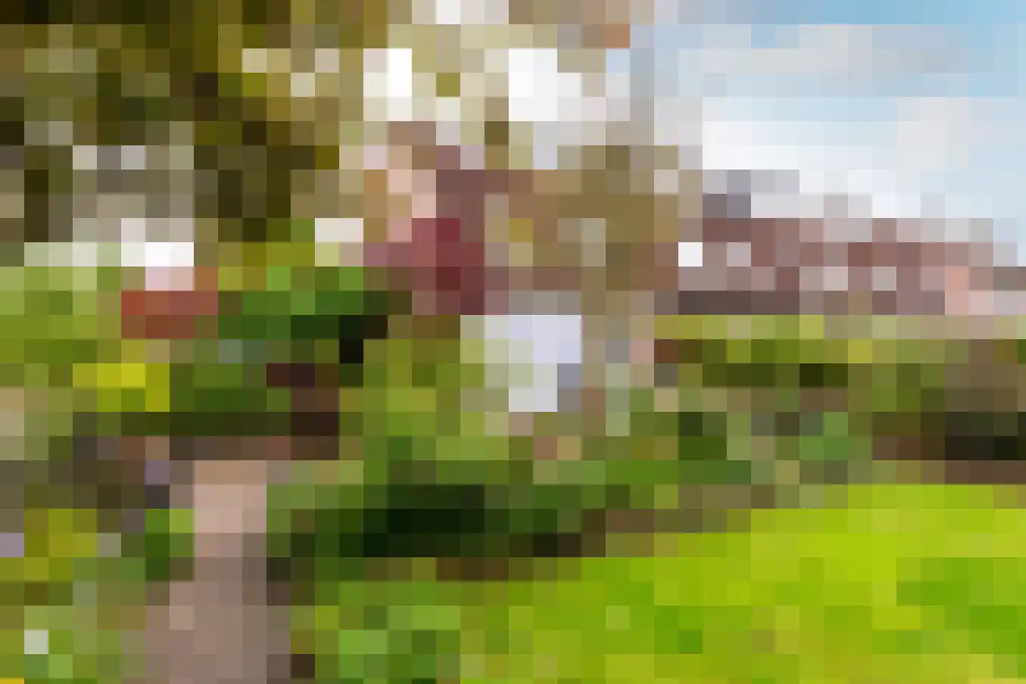 Marjoleinstraat 27 Almere thumbnail 17