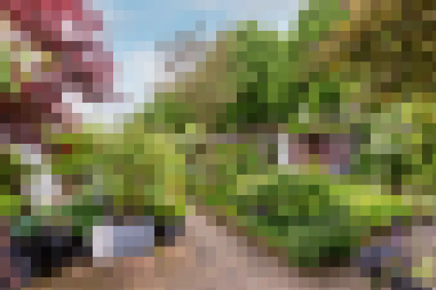 Marjoleinstraat 27 Almere thumbnail 19