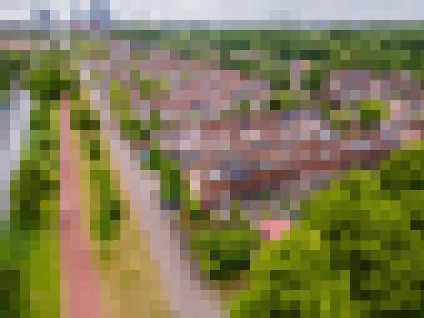 Marjoleinstraat 27 Almere thumbnail 23