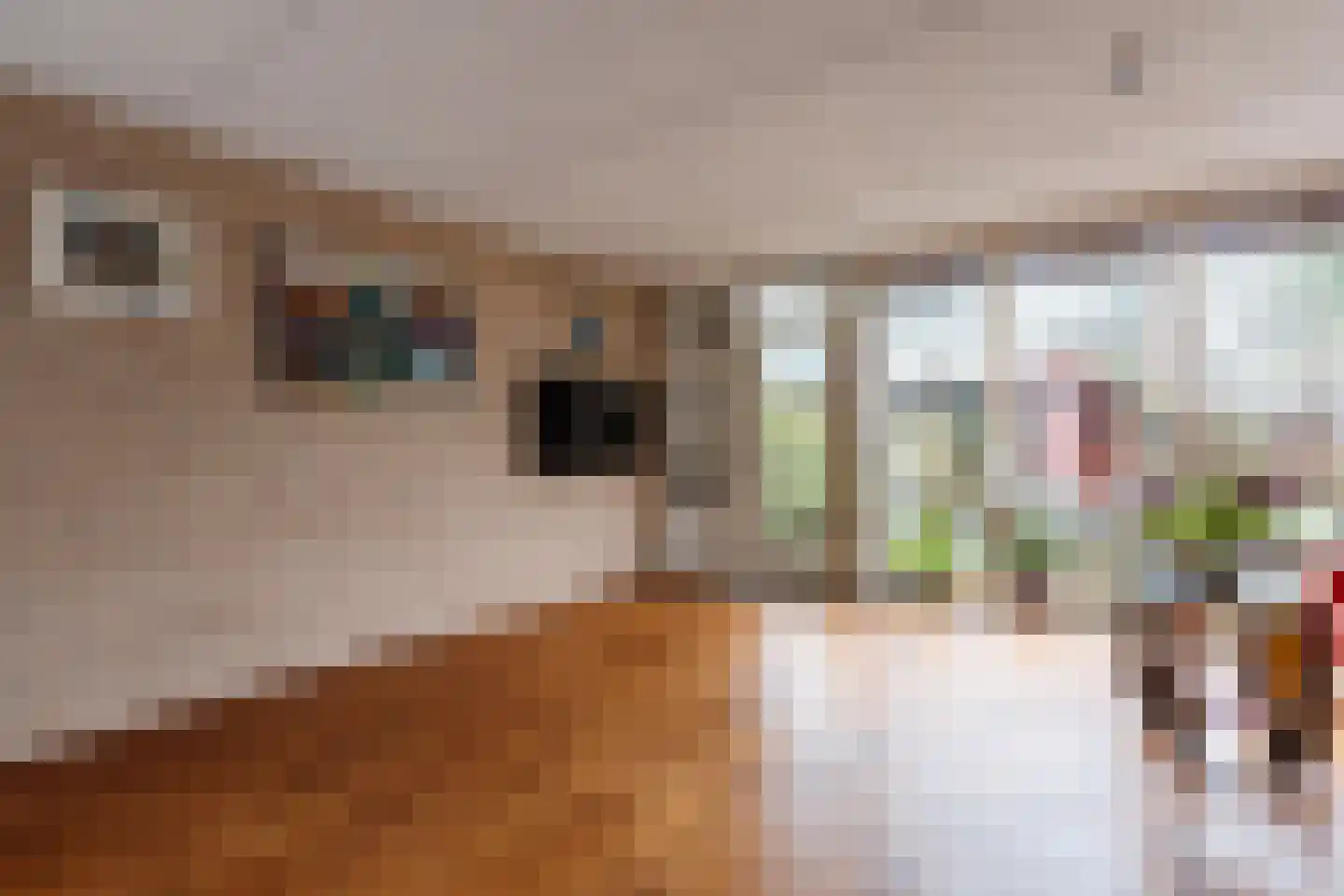 Marjoleinstraat 27 Almere thumbnail 5