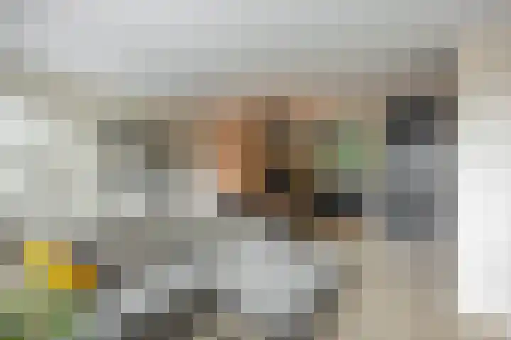 Marjoleinstraat 36 Groningen thumbnail 11