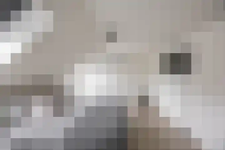 Marjoleinstraat 36 Groningen thumbnail 22