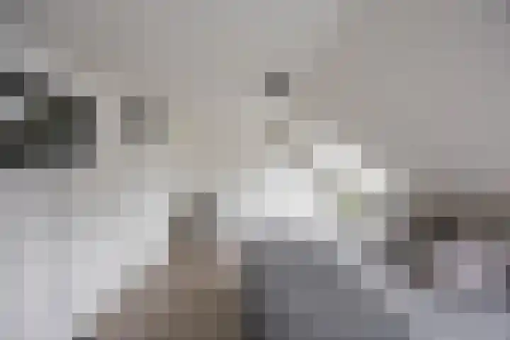 Marjoleinstraat 36 Groningen thumbnail 23