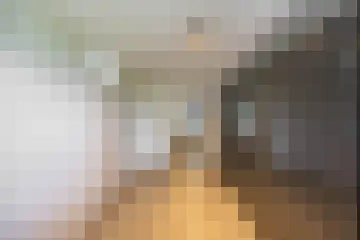 Marjoleinstraat 36 Groningen thumbnail 24