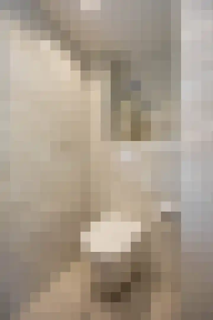 Marjoleinstraat 36 Groningen thumbnail 27