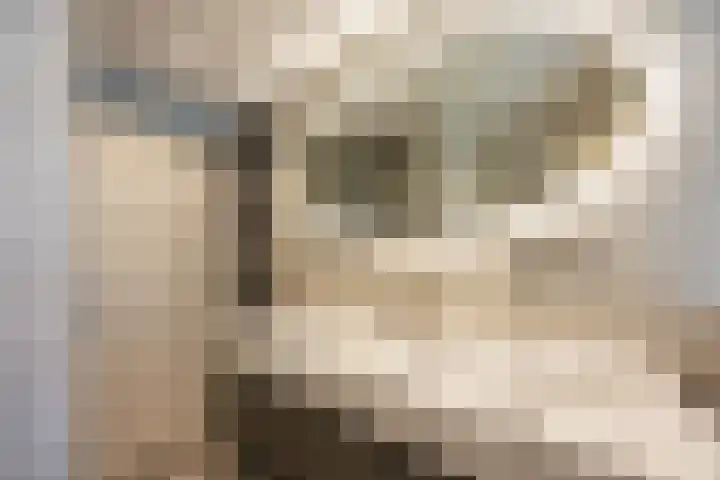 Marjoleinstraat 36 Groningen thumbnail 29