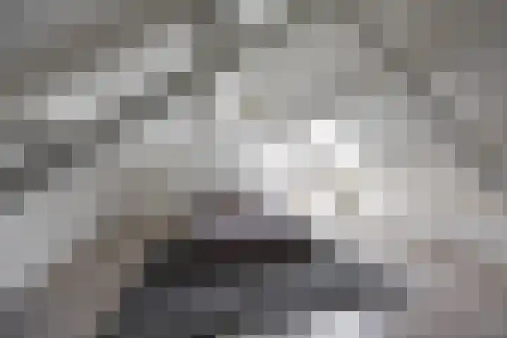 Marjoleinstraat 36 Groningen thumbnail 32