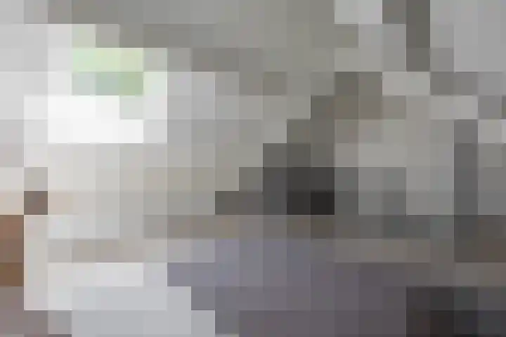 Marjoleinstraat 36 Groningen thumbnail 33
