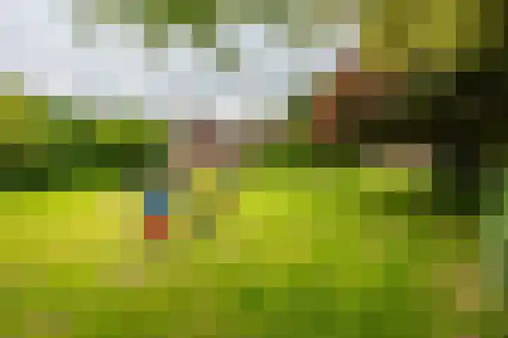 Marjoleinstraat 36 Groningen thumbnail 38