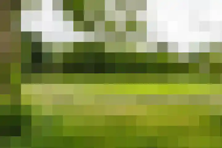 Marjoleinstraat 36 Groningen thumbnail 39