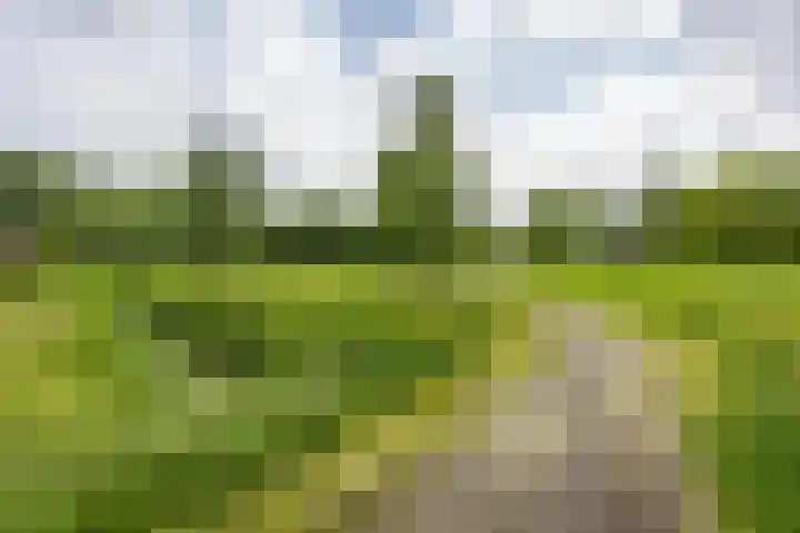 Marjoleinstraat 36 Groningen thumbnail 40