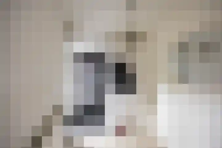 Marjoleinstraat 36 Groningen thumbnail 9