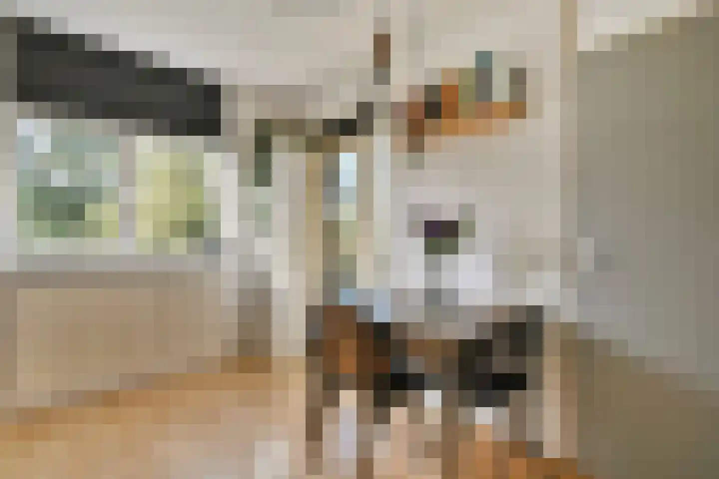 Marjoleinstraat 39 Amsterdam thumbnail 11