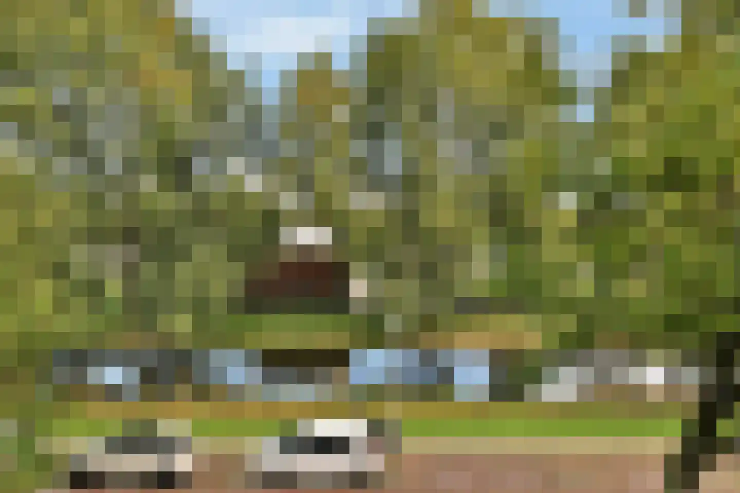 Marjoleinstraat 39 Amsterdam thumbnail 20